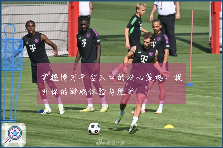 掌握博万平台入口的核心策略，提升你的游戏体验与胜率