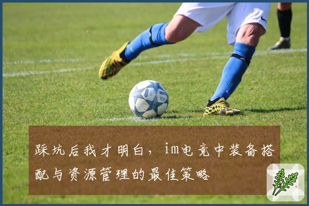 踩坑后我才明白，im电竞中装备搭配与资源管理的最佳策略