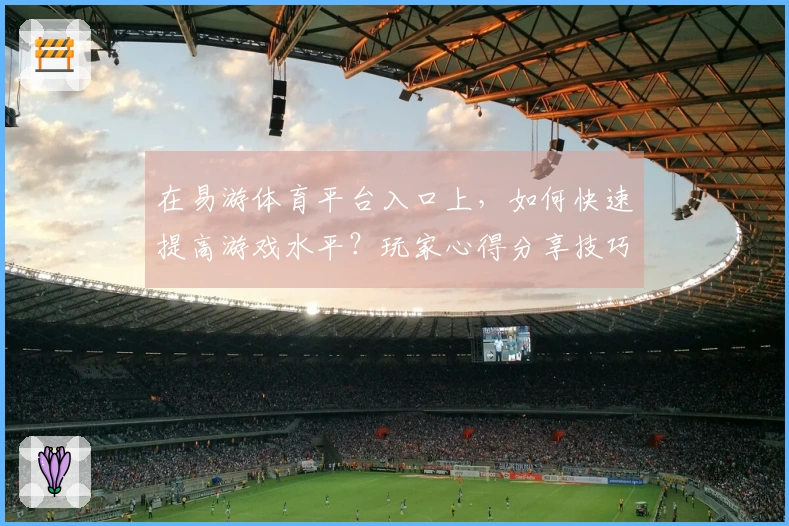 在易游体育平台入口上，如何快速提高游戏水平？玩家心得分享技巧大揭秘