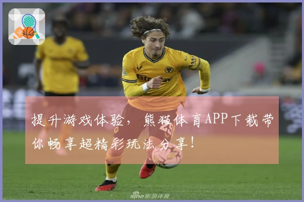提升游戏体验，熊猫体育APP下载带你畅享超精彩玩法分享！