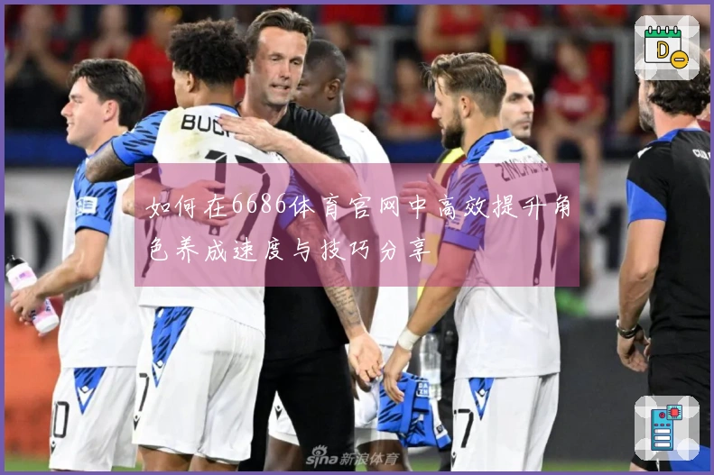 如何在6686体育官网中高效提升角色养成速度与技巧分享