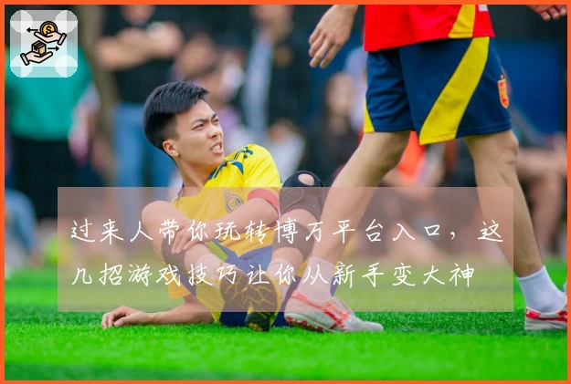 过来人带你玩转博万平台入口，这几招游戏技巧让你从新手变大神